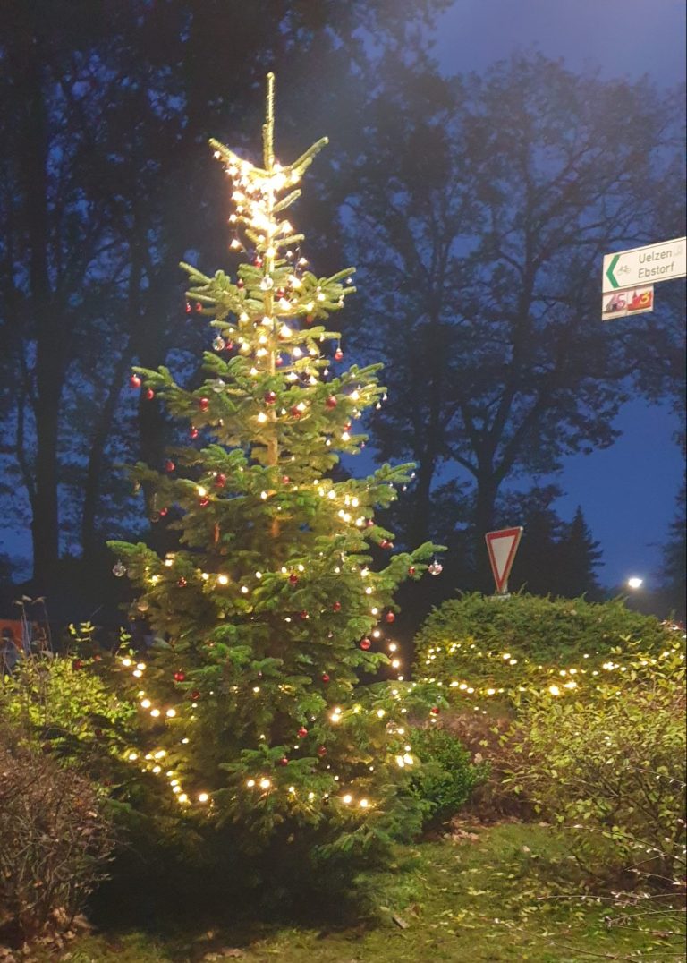 Weihnachtsbaum in Ellerndorf