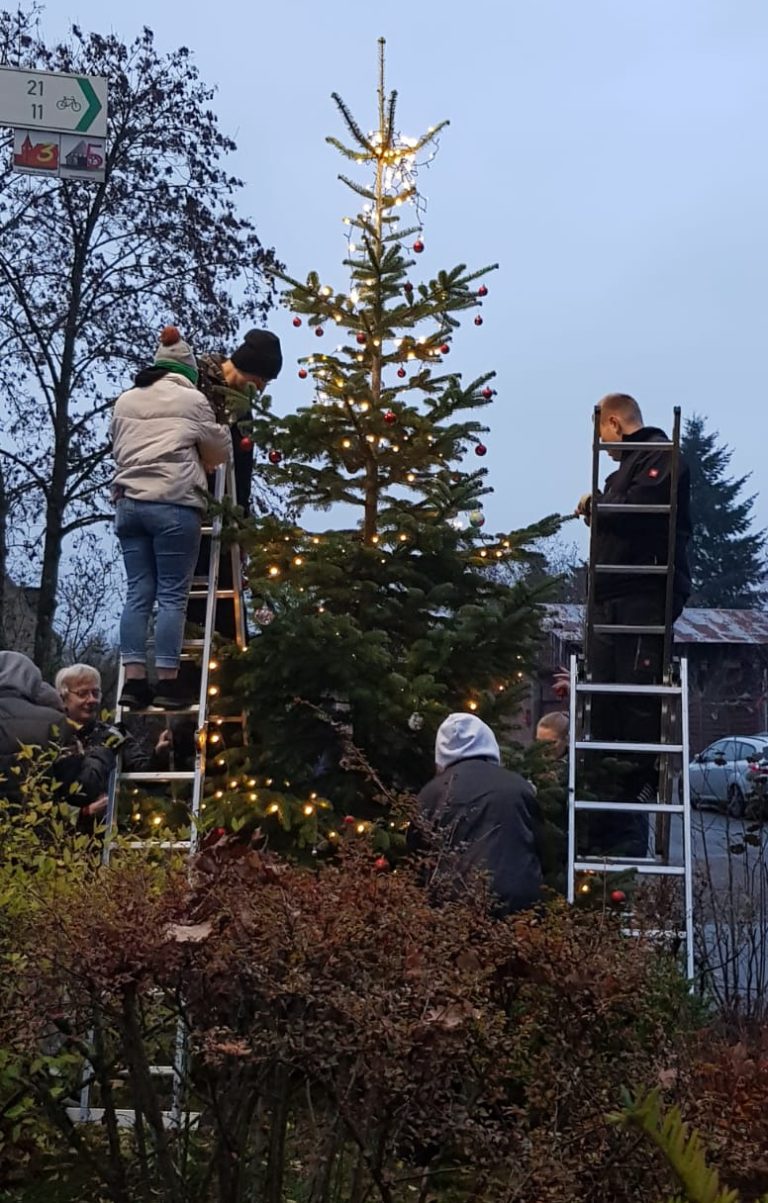 Weihnachtsbaum in Ellerndorf